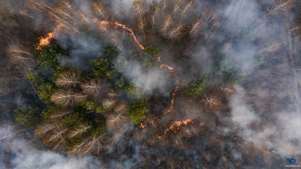У Чорнобилі згоріли 30% туристичних об’єктів