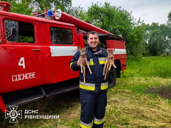 Надзвичайники врятували двох оленят із вогняної пастки
