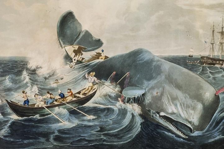 Американська художниця переписала від руки понад 900 сторінок Мобі Діка