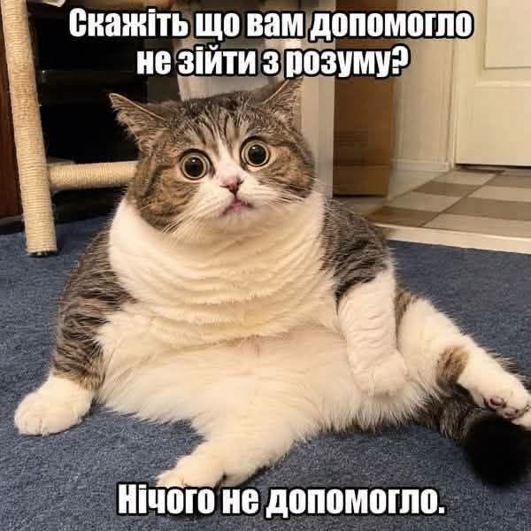 Підбірка блогожаб та фотоприколів від UAINFO за 8 вересня