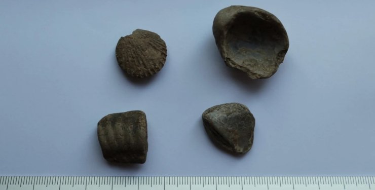 Археологи виявили в родинному маєтку принцеси Діани артефакти неандертальців