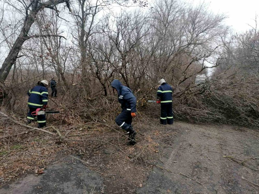 На Миколаївщині ураганний вітер повалив дерева та пошкодив мости