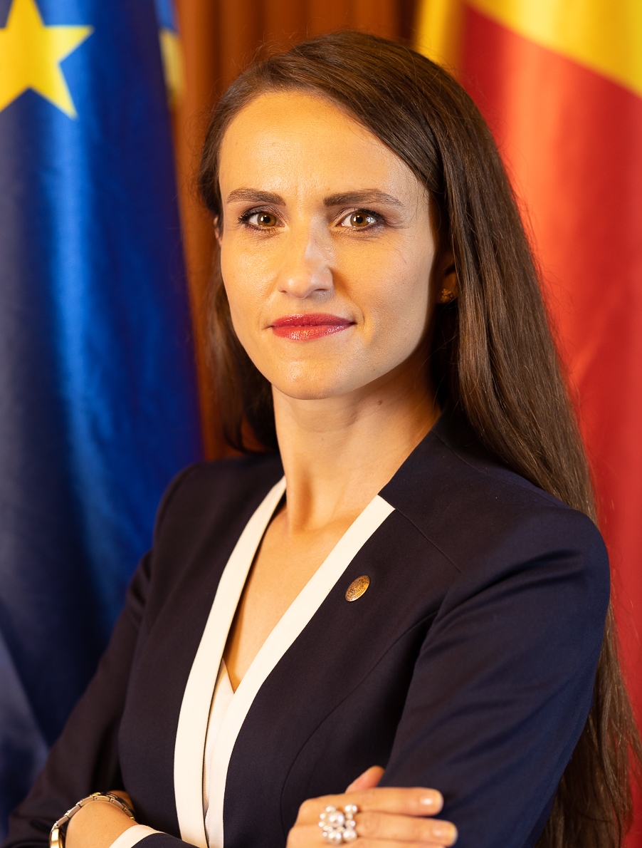 Глава МЗС Румунії: інцидент з дроном Росії є приводом застосування 4 статті НАТО