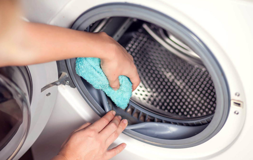 Як видалити плісняву з гумової манжети пральної машини