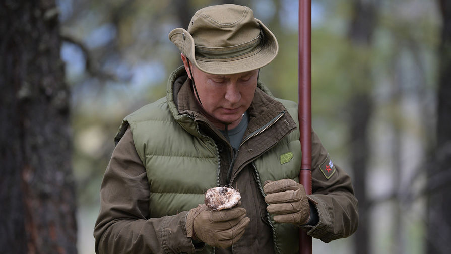 Путин уничтожил Сакральный гриб тайги  