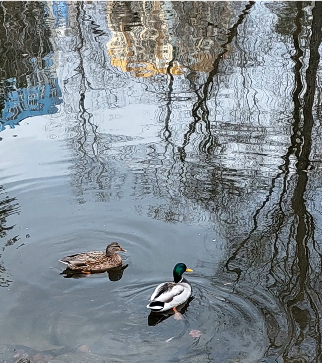 Синоптикиня Наталка Діденко розповіла,якою буде погода на вихідних 
