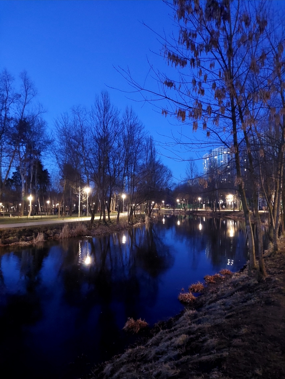 Україна перебуває під впливом масштабного антициклону: синоптикиня розповіла про погоду на завтра