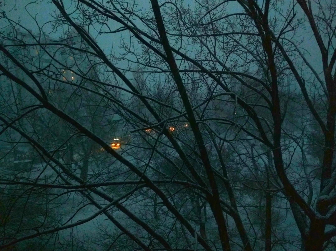 "Найближчої ночі буде найхолодніше у північних областях, -15-20 градусів", – синоптик