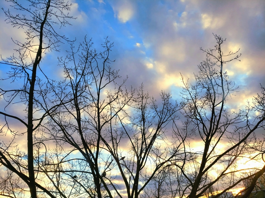 Наталка Діденко розповіла, якою буде погода у День святого Валентина, та коли прийде похолодання 