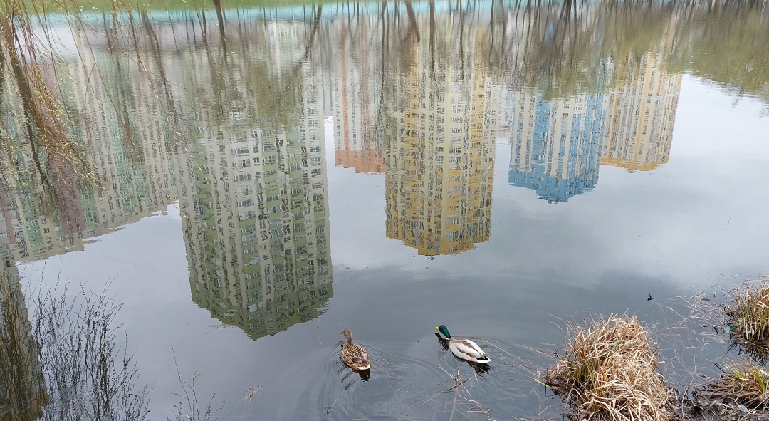 "Цікаво складатиметься синоптична ситуація". Якою буде погода 18 березня