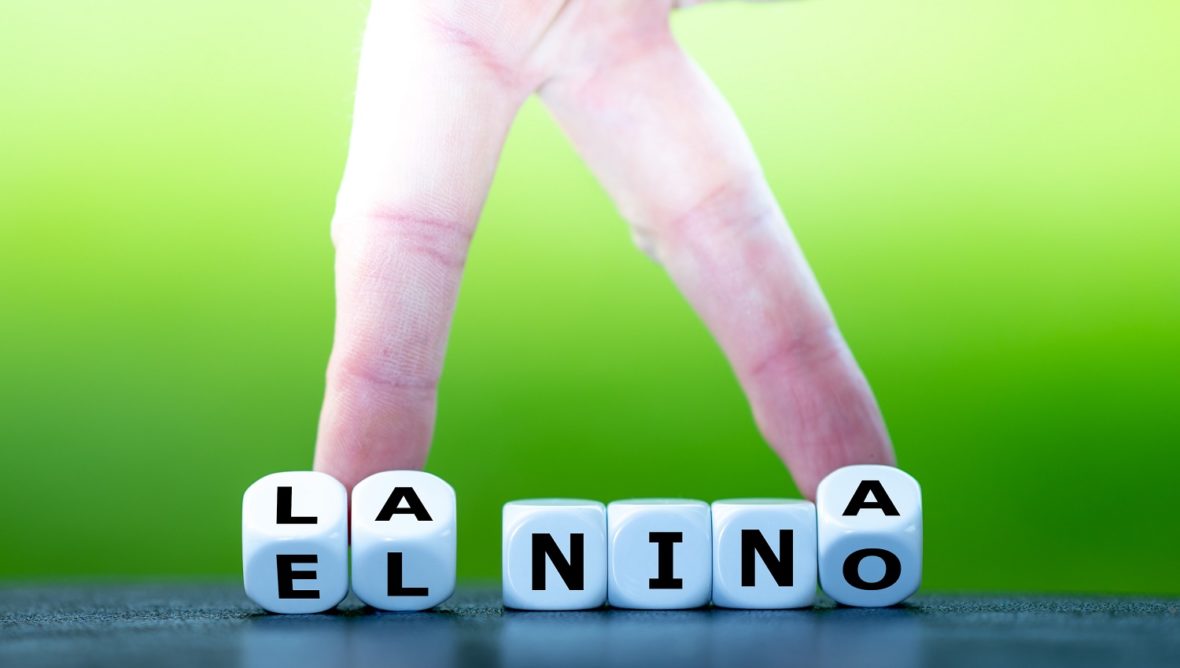 Такої спеки ще не було: вчені попередили про нові температурні рекорди 2026 року