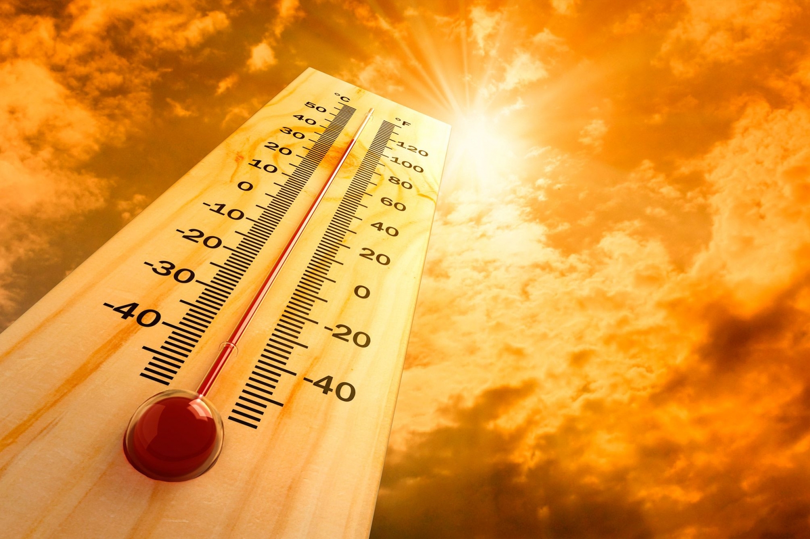 2022 год станет одним из самых жарких в истории: метеорологи дали неутешительный прогноз