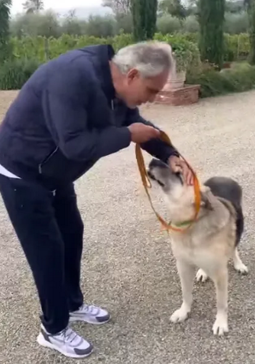Італійський співак Андреа Бочеллі прихистив пса Джека з Куп'янська, який унаслідок вибухів втратив слух