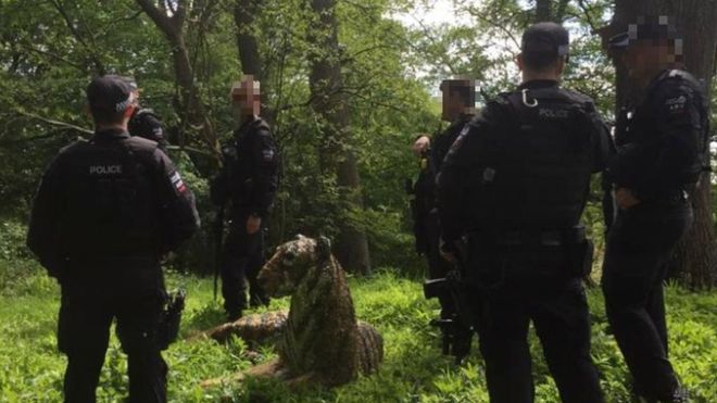 У Британії поліція на вертольотах ловила тигра, який виявився статуєю. ФОТО