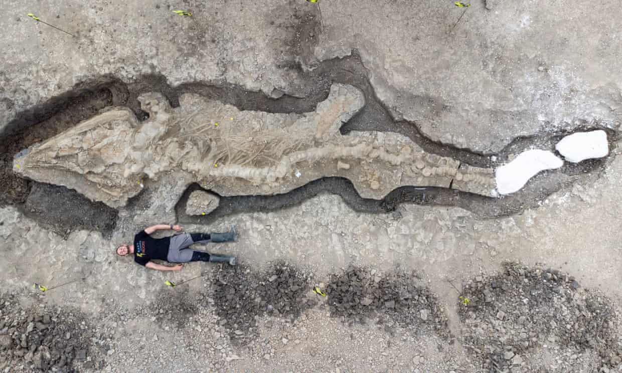 Ученые раскопали гигантский скелет вымершего морского чудовища