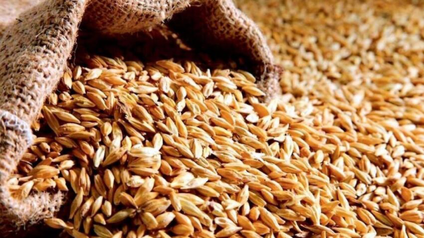 Світові ціни на пшеницю різко зросли після виходу Росії із зернової угоди