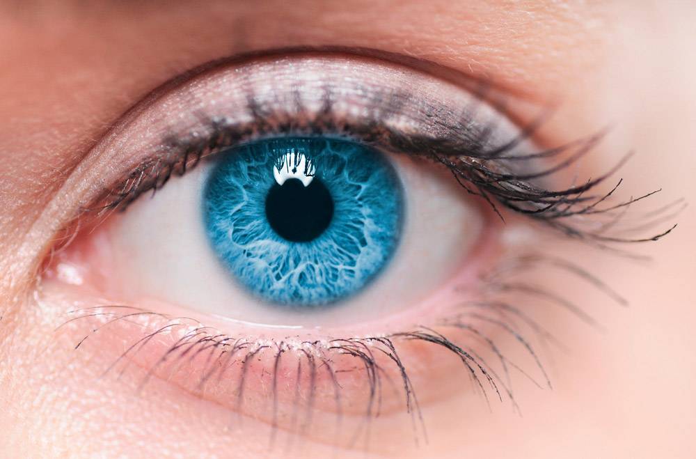 Ученые придумали, как по сетчатке глаза определить продолжительность жизни человека