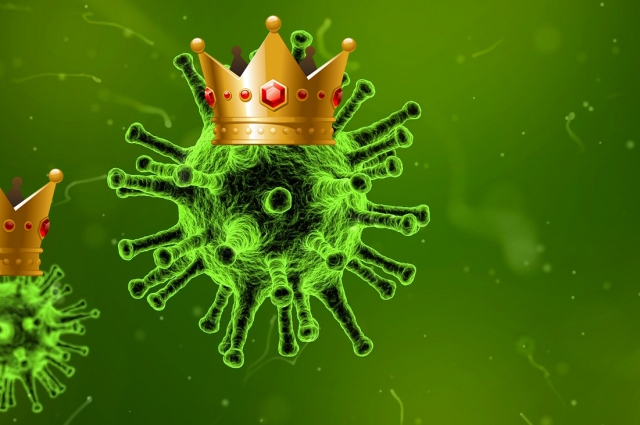 Вчені з Уханя заявили про появу нового коронавірусу