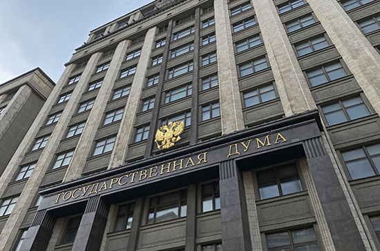 Держдума підтримала проект звернення до Путіна про визнання "ЛДНР"