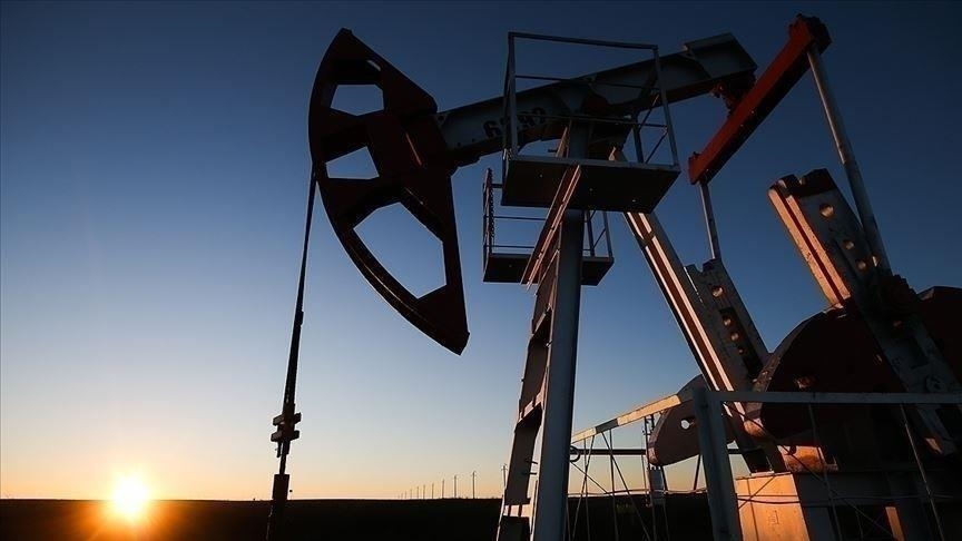 Куса: Какие страны могут заменить российскую нефть и как близко они к этому подошли?