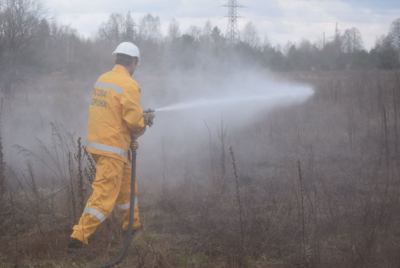 У Чорнобильській зоні горить ліс. Вогонь охопив 1500 га