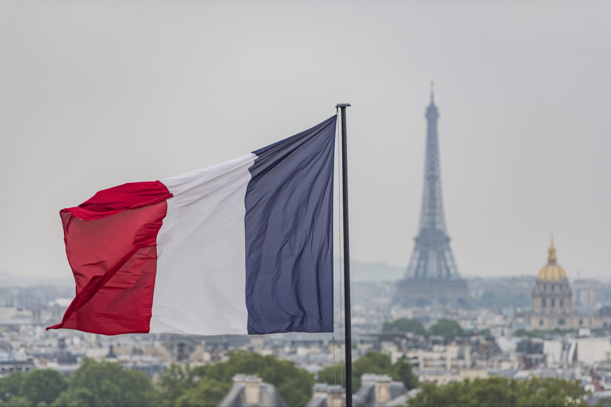 "Завербували на кілька поколінь": Піонтковський пояснив, чому Франція заграє