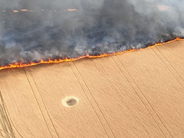 Армія РФ спалює поля із пшеницею в Україні