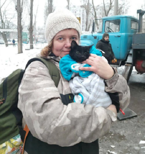 Чекала більше 2 тижнів на порятунок: у Дніпрі повернули господарям кішку із зруйнованого російським ударом будинку. ВІДЕО