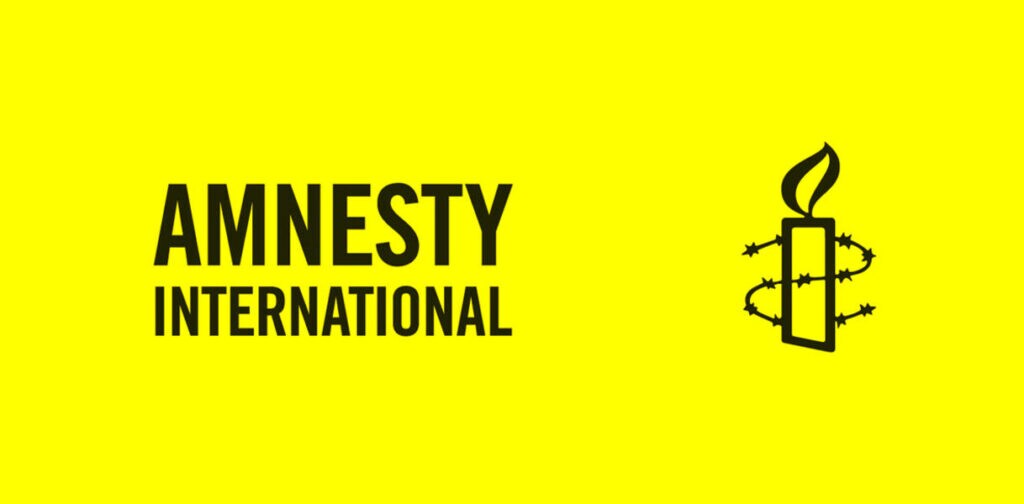 В Amnesty International знову оскандалились заявами щодо України
