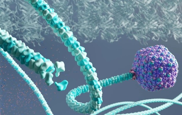 Вчені виявили "еволюційне диво": вірус Рапунцель