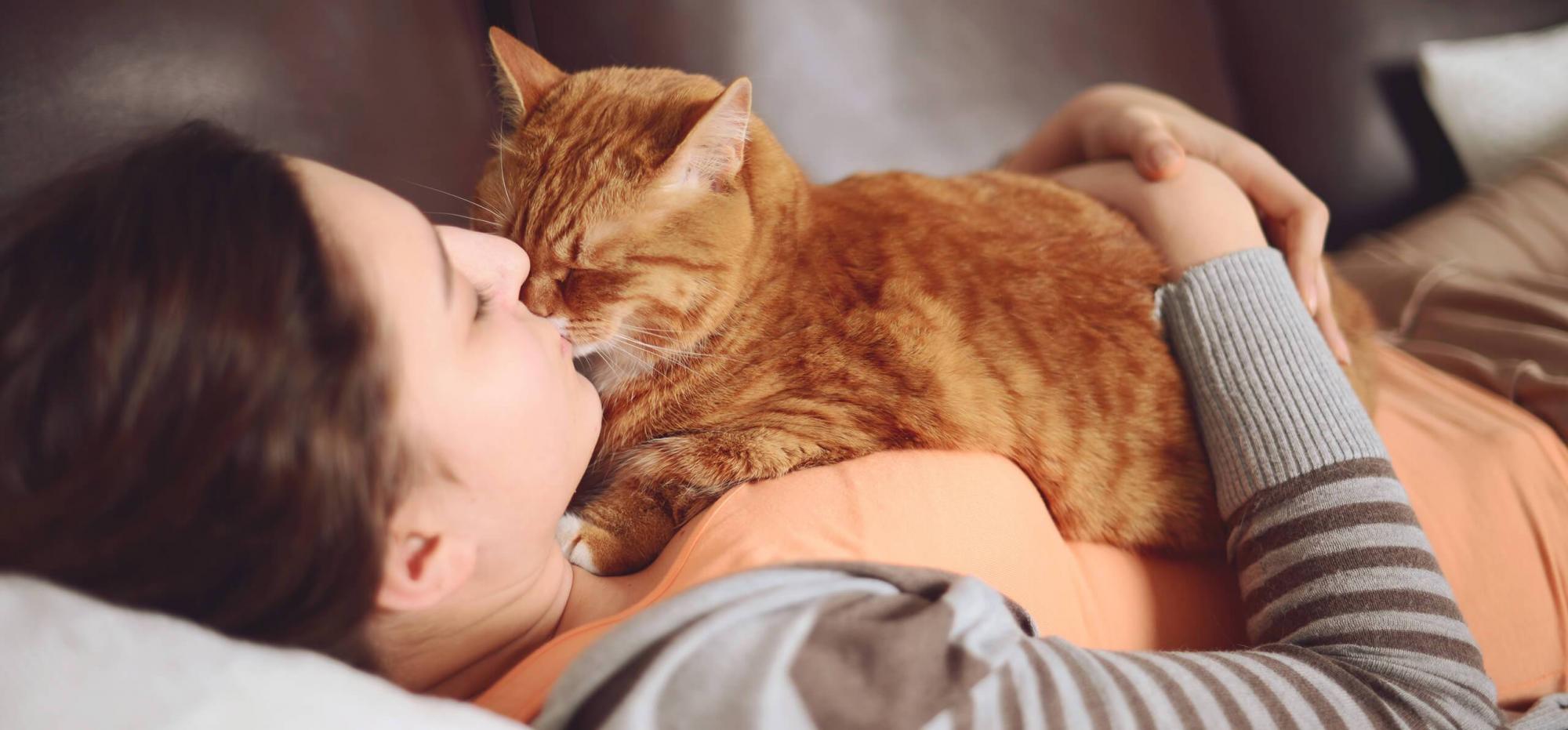 Як коти обирають, з ким спати: це не завжди господар