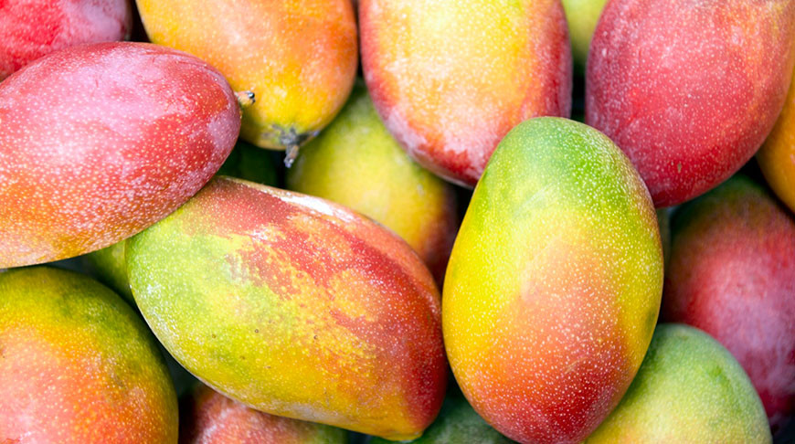Кому не можна їсти манго: яку шкоду може принести екзотичний фрукт 