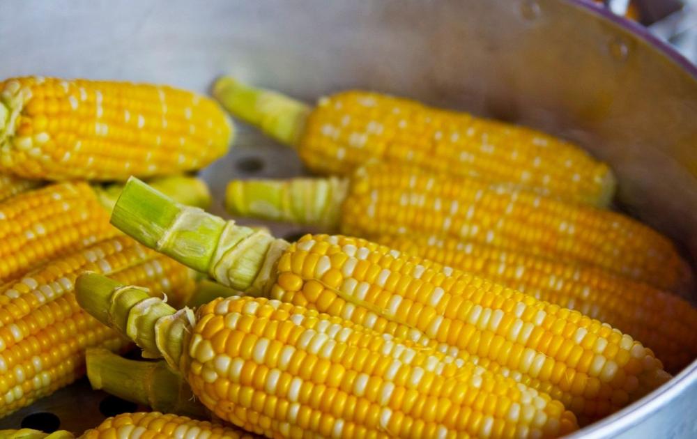 Чому варена кукурудза виходить несмачною: цих помилок припускаються всі
