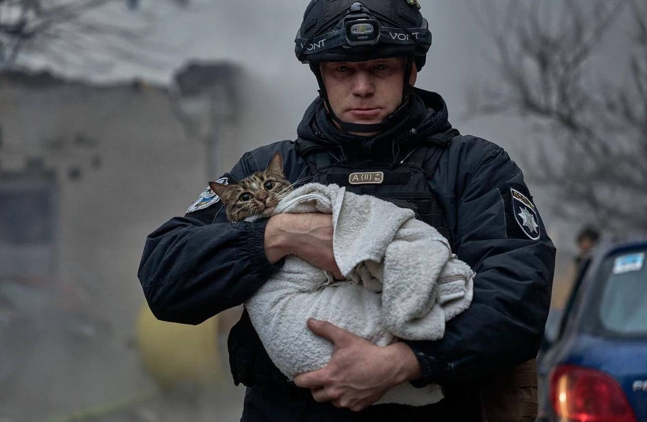 "Схопив, обійняв та спустився до низу": поліцейський із врятованим у Києві котом розчулив соцмережі