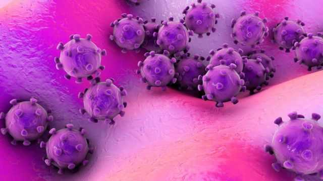 Смертність – 100%: китайці випробували новий штам коронавірусу на "олюднених" мишах