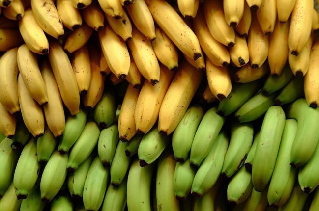 Вибір між зеленими та жовтими бананами: який краще з'їсти 