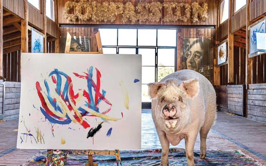 Картини свинки-художниці Пігкассо продали за понад 1,2 млн доларів