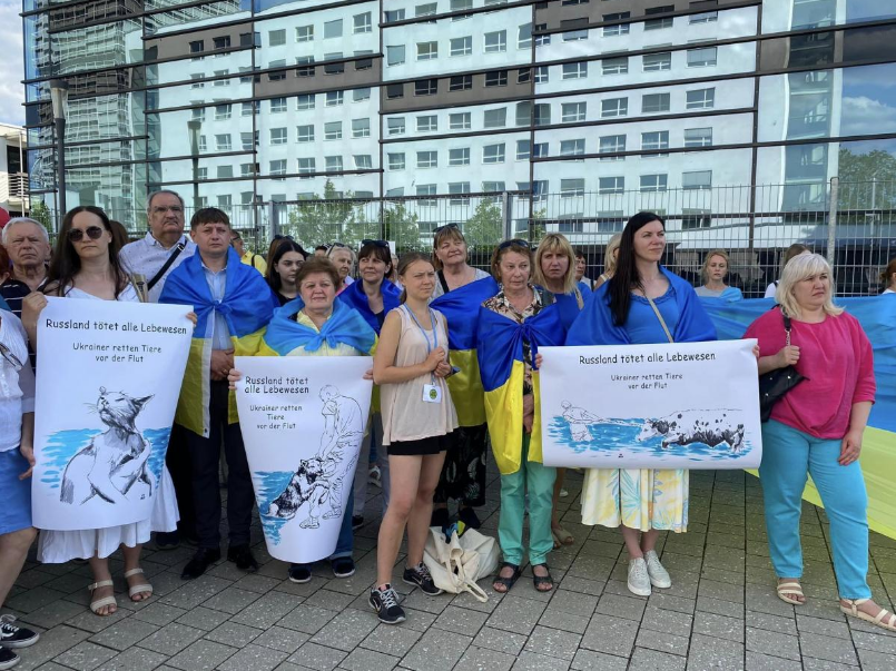 "Не будемо мовчати": Грета Тунберг прийшла на український мітинг біля ООН