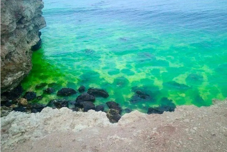 В окупованому Севастополі вода стала кислотно-зеленого кольору: "влада" видала безглузде пояснення