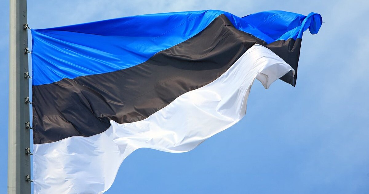 Естонія передасть Україні партію дронів і приєднається до закупівель зброї у США