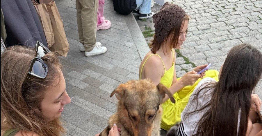 В Одесі пес загубився після обстрілу, але сам прийшов на мітинг і знайшов господарку: щемлива історія В Одесі пес загубився після обстрілу, але сам прийшов на мітинг і знайшов господарку: щемлива історія