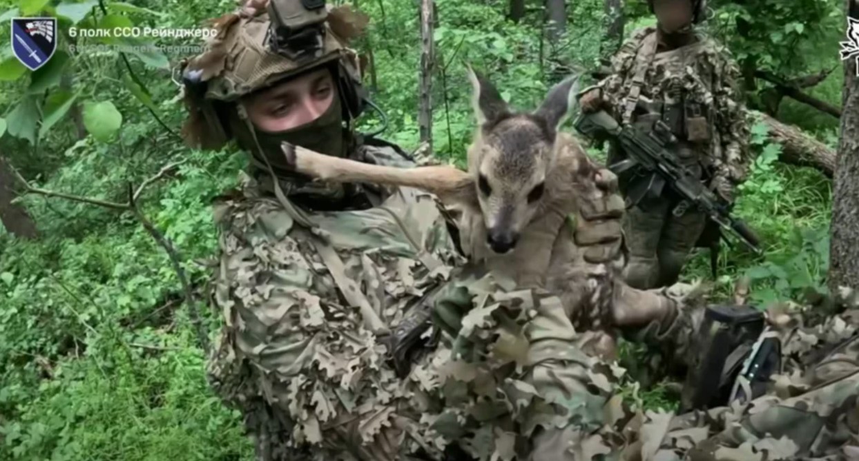 Спецназівці ССО захопили позиції та документи ворога, а ще врятували оленя Спецназівці ССО захопили позиції та документи ворога, а ще врятували оленя