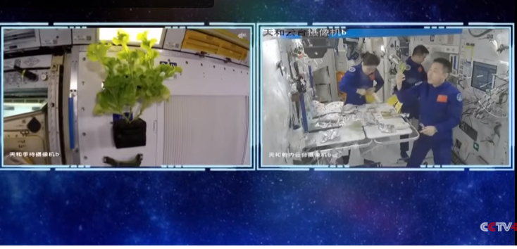 Китайські астронавти виростили в космосі помідори й салат: це важливо не лише з точки зору їжі