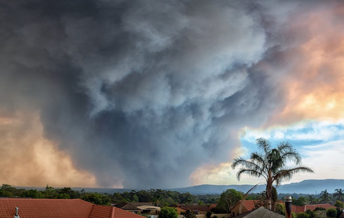В Австралии ливни потушили лесной пожар, который продолжался несколько месяцев