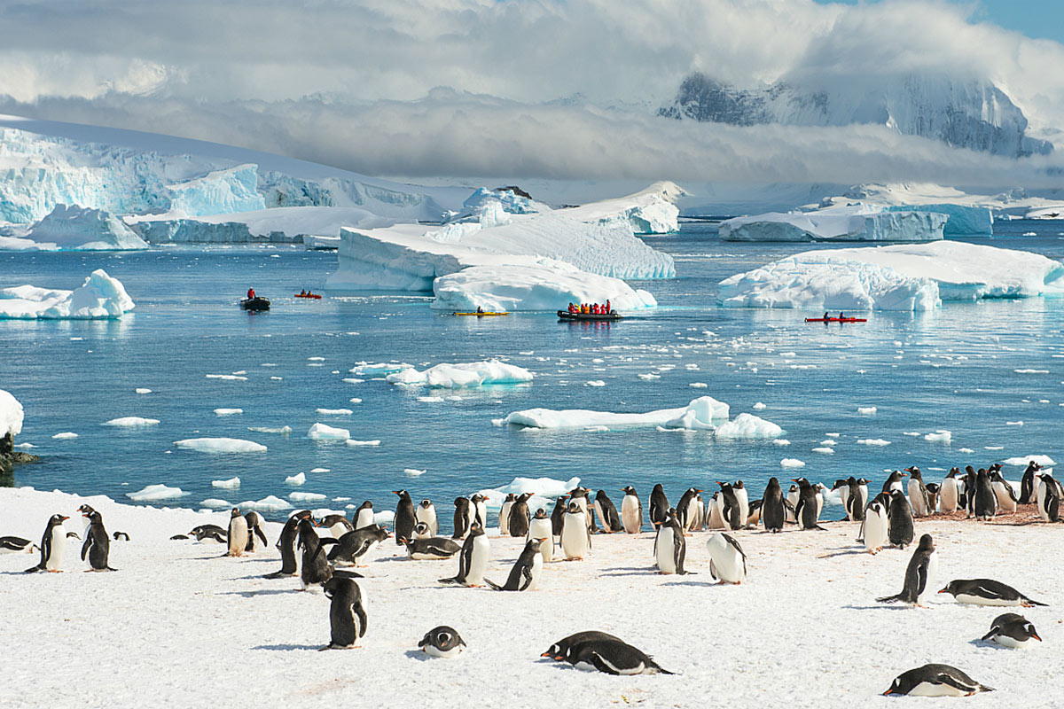 климат, Бразилия, Антарктида, потепление, пингвины, ледник