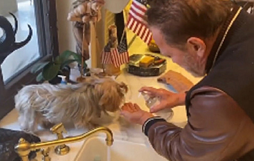 Шварценеггер признался, что моет руки 50 раз в день, и хочет приучить к этому свою собаку. ВИДЕО