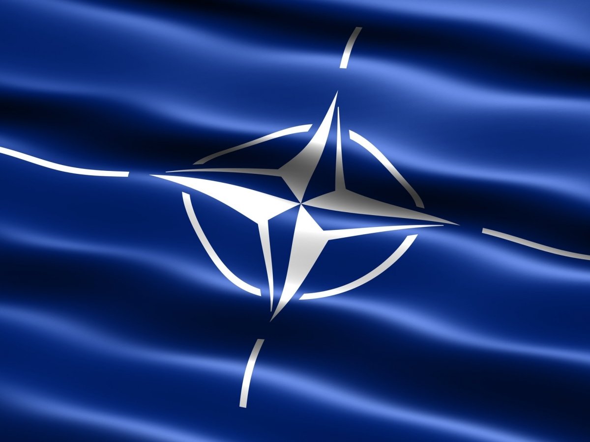 НАТО, стурбованість, поведінка, Росія