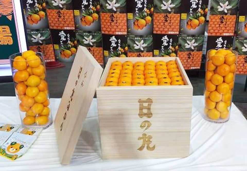 Драгоценные цитрусовые: На аукционе в Японии ящик мандаринов продали за $9600