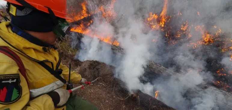 У Росії вирують лісові пожежі: в Бурятії та Забайкаллі оголосили надзвичайну ситуацію