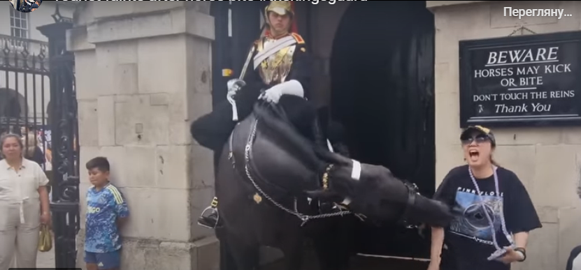 У Лондоні кінь Королівської гвардії вкусив туристку. ВІДЕО